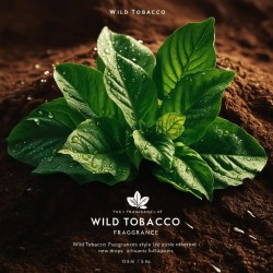 Olio Profumato Premium: Fragranza Wild Tobacco