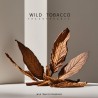 Olio Profumato Premium: Fragranza Wild Tobacco