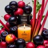 Olio Profumato Premium: Fragranza Black Plum & Rhubarb